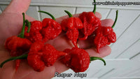 Reaper Naga - Pepper Seeds - White Hot Peppers